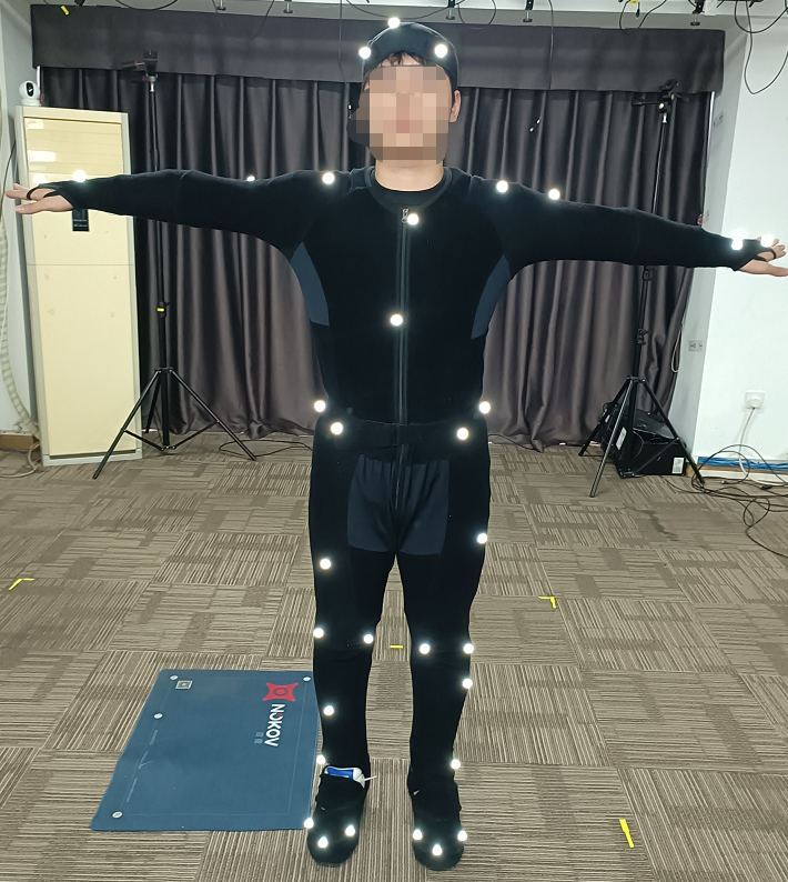 正面全身视图